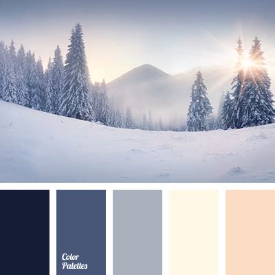 winter color palette | Color Palette Ideas