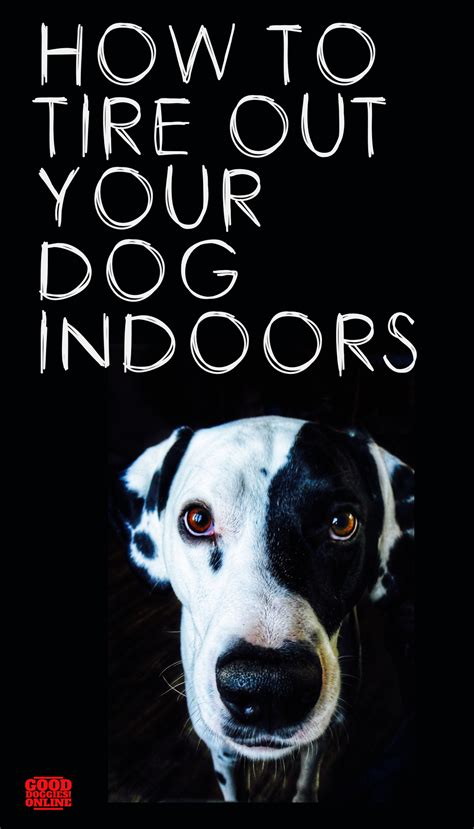 How to make a dog potty area – Artofit