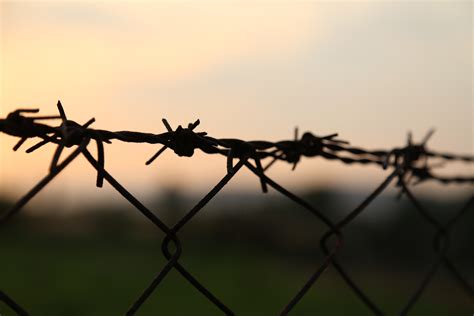 3840x2160 Wallpaper Black Barb Wire And Chain Link Fence Peakpx