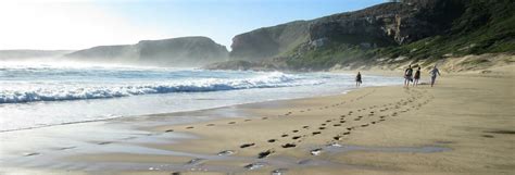 Plettenberg Bay Activities - Hide-Away Guest House Knysna