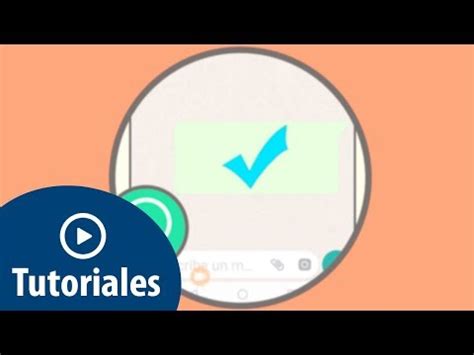 Por Qu Solo Aparece Una Palomita En Whatsapp Cuando Env As Un Mensaje