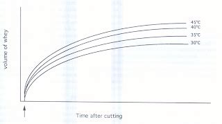 CheeseScience.net: Syneresis- IV