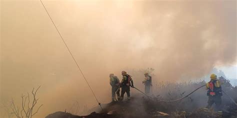 Las Denuncias Por Incendios Forestales En Quito Ascienden A 13 Hay Dos