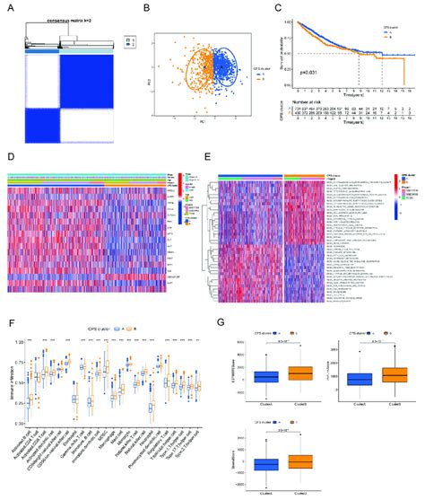 Identification Of Cuproptosis Modification Patterns In Colorectal Download Scientific Diagram