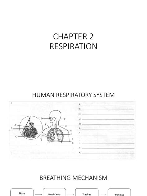 Science Form 3 Chapter 2 Respiration Pdf Respiratory System Lung