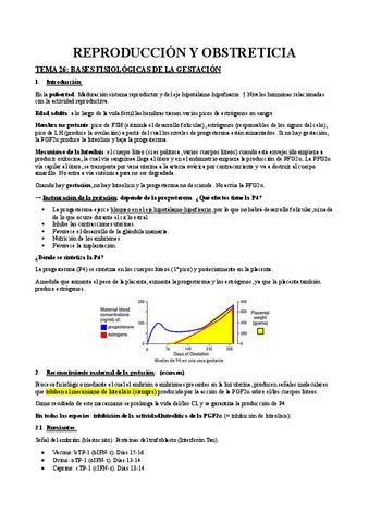 2o Parcial Repro Pdf