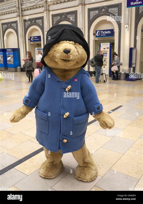 Paddington Bear at Paddington Station in London Stock Photo - Alamy