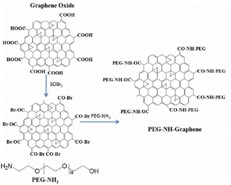 Chemical Structure And Scheme Of The Chemical Modification Process Download Scientific Diagram