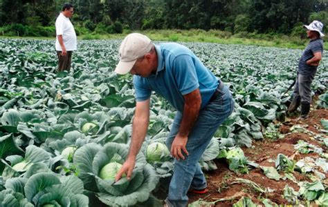 La Crisis En Nicaragua Ha Dejado Muertos En Siete Meses Seg N Un