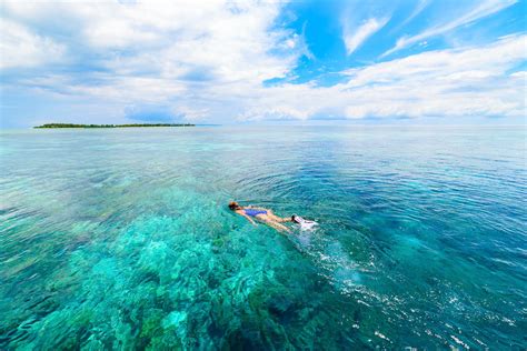 Scuba Diving In Wakatobi Zublu