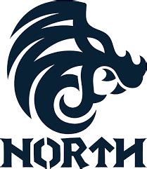 North - перевод, синонимы, произношение, значение, транскрипция ...