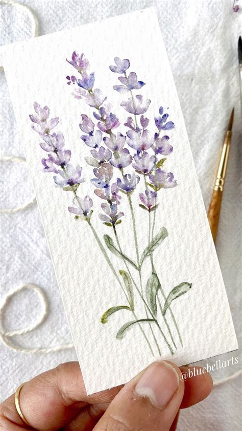 Bluebellarts By Padmini On Instagram Simple Lavender Flowers A