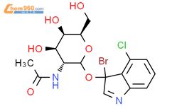 5 溴 4 氯 3 吲哚基 N 乙酰 beta D 氨基半乳糖苷 5 Bromo 4 chloro 3 indolyl N acetyl β