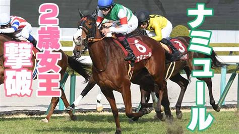 【3歳馬能力診断】ナミュールが豪快な末脚で重賞制覇！丹下日出夫 競馬予想動画