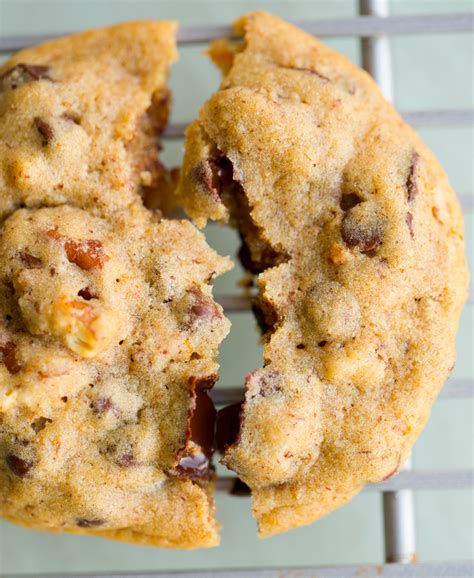 Chocolate Chip Pecan Orange Spice Cookies Vegan Recipe