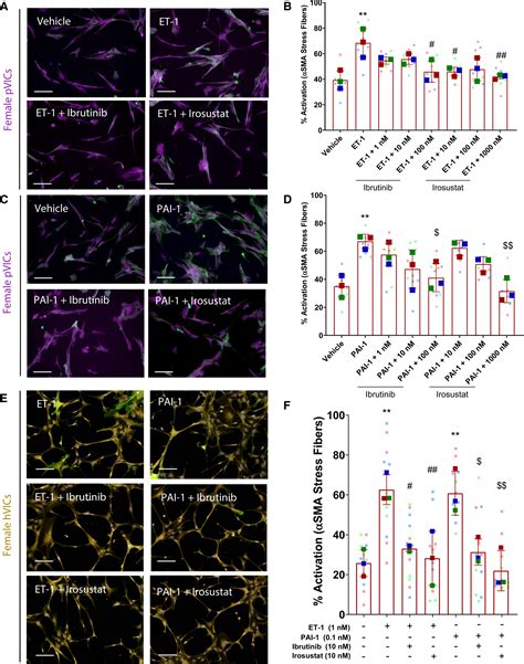 Genes That Escape X Chromosome Inactivation Modulate Sex Differences In