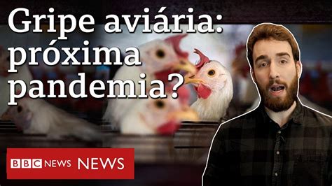 Por Que V Rus H N Preocupa Cientistas E Pode Virar Pandemia Bbc News