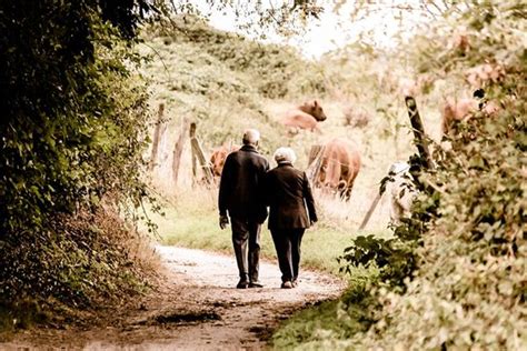 Sognare Mamma E Pap Significato Interpretazione Dei Sogni