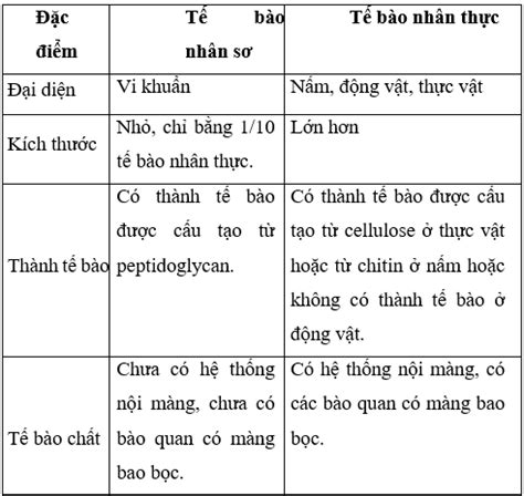 So sánh tế bào nhân sơ và nhân thực Khám phá những khác biệt cơ bản