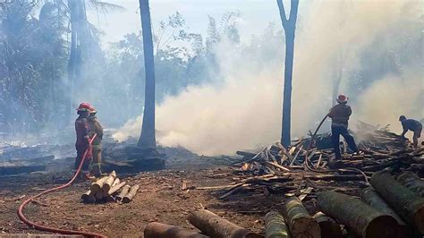 Tempat Pemotongan Kayu Di Probolinggo Hangus Terbakar Wartabromo