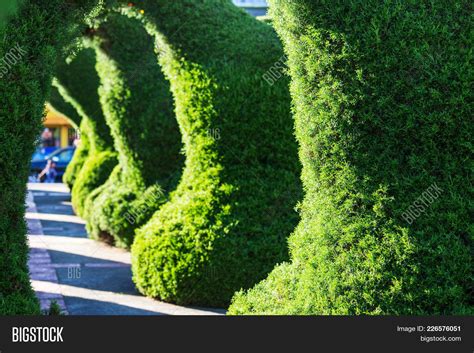 ZARCERO, COSTA RICA - Image & Photo (Free Trial) | Bigstock