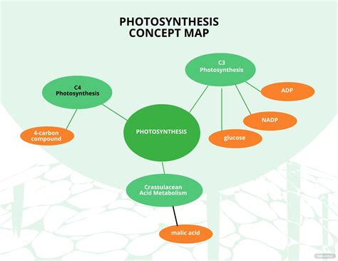 Concept Map What Is A Concept Map Definition Types Uses