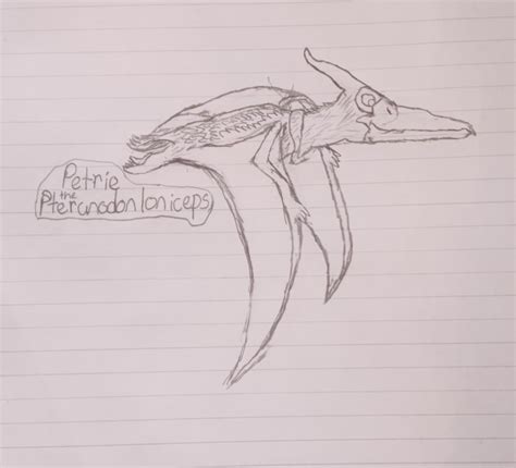 Petrie The Pteranodon By Americandinoboy On Deviantart