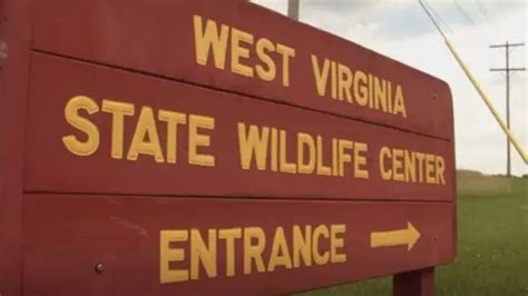 Wva State Wildlife Center Reopens Following Federal Relicensing Process