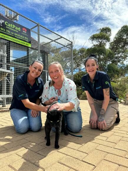 Media Releases Rspca South Australia