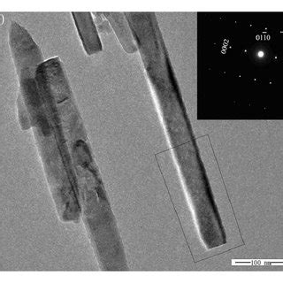 A Low Magnification Sem Image Of The As Prepared Zno Nanorods With