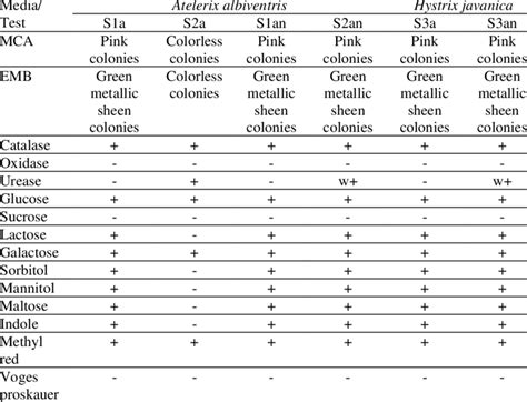 Results On Selective Media Biochemical Tests And Gram Staining Of