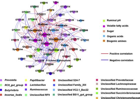 Correlation Networks Of The Rumen Volatile Fatty Acids Vfa Different