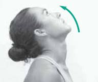 Neck Pain Exercises - Managing Neck & Shoulder Symptoms