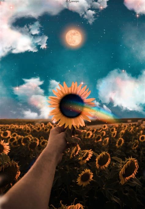 •𝖣𝗋𝖾𝖺𝗆𝗂𝗇𝗀 𝖺𝗆𝗈𝗇𝗀 𝗌𝗎𝗇𝖿𝗅𝗈𝗐𝖾𝗋𝗌•🌻☁️🌕🧡sunflowers Rainbow Sky Moon Clouds