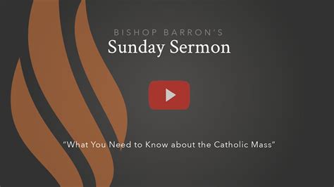 What You Need to Know about the Catholic Mass — Bishop Barron’s Sunday ...