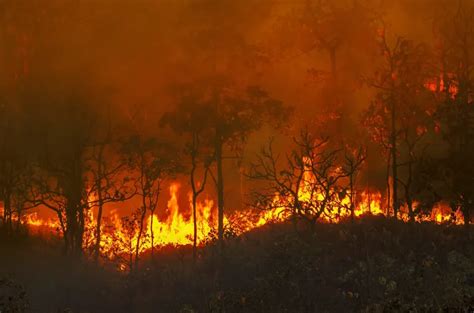 Los incendios en Corrientes ya consumieron más de 100 mil hectáreas y