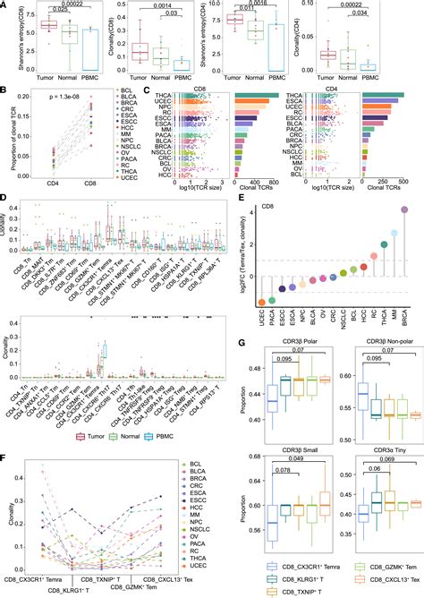 Identification Of Shared Characteristics In Tumor Infiltrating T Cells