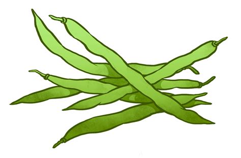 Green Beans Clipart Clipground