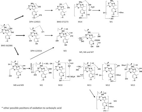 Proposed Biotransformation Pathways For Bms 562086 The Proposed Msms