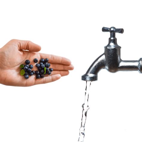 Мочегонная черника