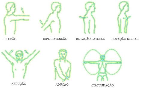 Cinesiologia em Fisioterapia CONCEITOS BÁSICOS