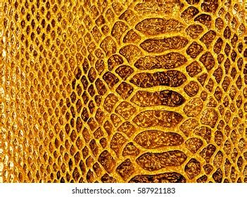 28,599 Yellow snake skin Images, Stock Photos & Vectors | Shutterstock