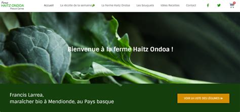 Site E Commande Pour La Ferme Haitz Ondoa Mendionde