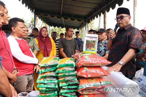 Peduli Petani Ratusan Koptan Di Madina Dapat Bantuan Bibit Dan Pupuk