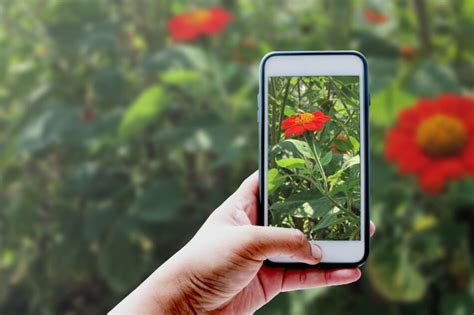 Les Meilleures Applications Mobiles Pour Reconna Tre Les Plantes