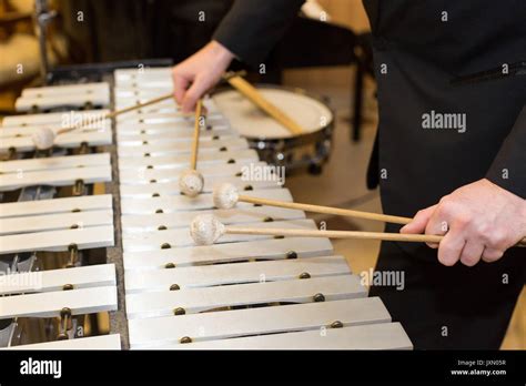 Xylophone Is A Percussion Instrument Atelier Yuwaciaojp