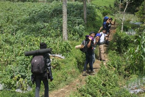 Radius Aktivitas Di Gunung Slamet Diperluas Jadi 3 Kilometer