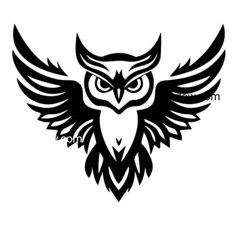 Owl Emblem Logo Icon transparent background - Photo #10907 - Pngdow - Free and Premium Stock Photos