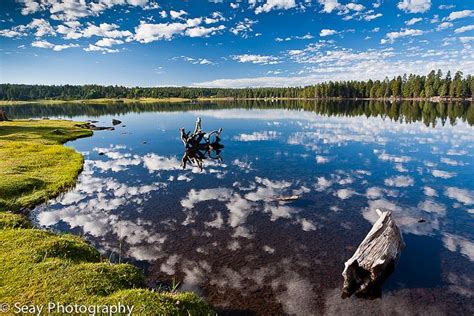 Hawley Lake | Arizona adventure, Arizona travel, Hawley lake