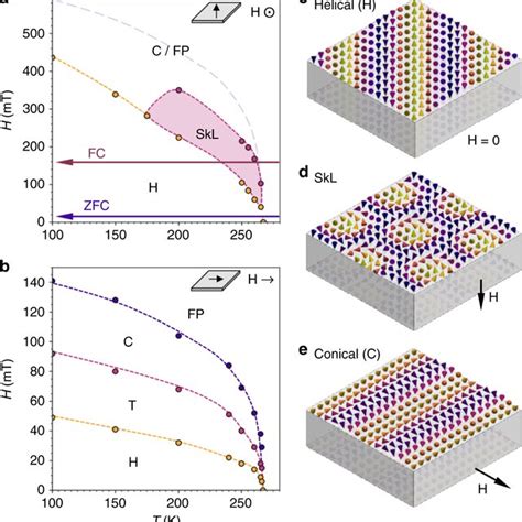 Spin Textures And Magnetic Phase Diagrams Of An FeGe Lamella A B Phase